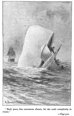  Whale eats ship