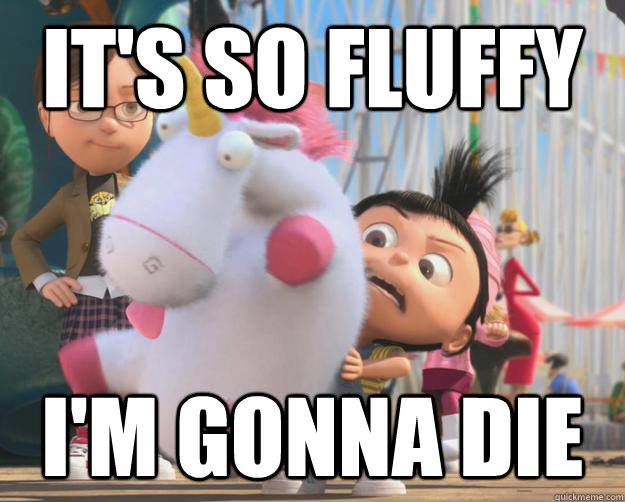 its so fluffy I am gonna die 